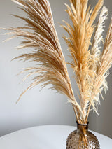 ROGER » Pampas stabilizzata piccola crema H70cm - Bloomoon