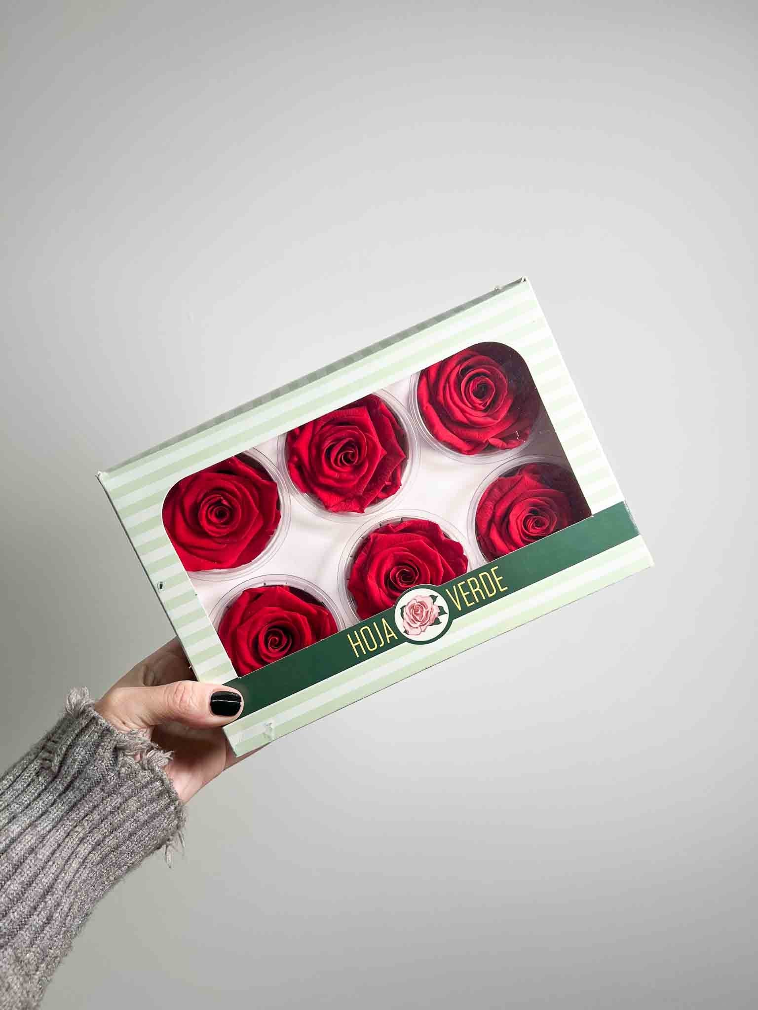 ROMEO » Box da 6 fiori di Rosa rossa diametro 6,5cm standard - Bloomoon