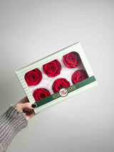 ROMEO » Box da 6 fiori di Rosa rossa diametro 6,5cm standard - Bloomoon