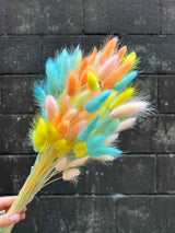 ROMINA » Mazzo di Lagurus multicolor colori pastello - Bloomoon