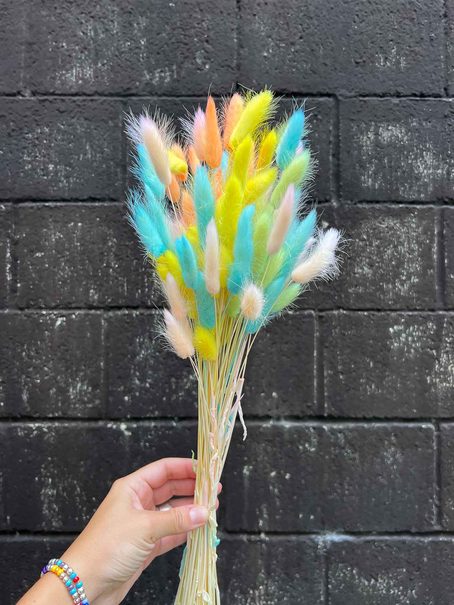 ROMINA » Mazzo di Lagurus multicolor colori pastello - Bloomoon