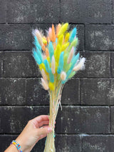ROMINA » Mazzo di Lagurus multicolor colori pastello - Bloomoon