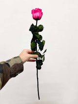 ROSA » Stelo di Rosa fucsia 50cm - Bloomoon