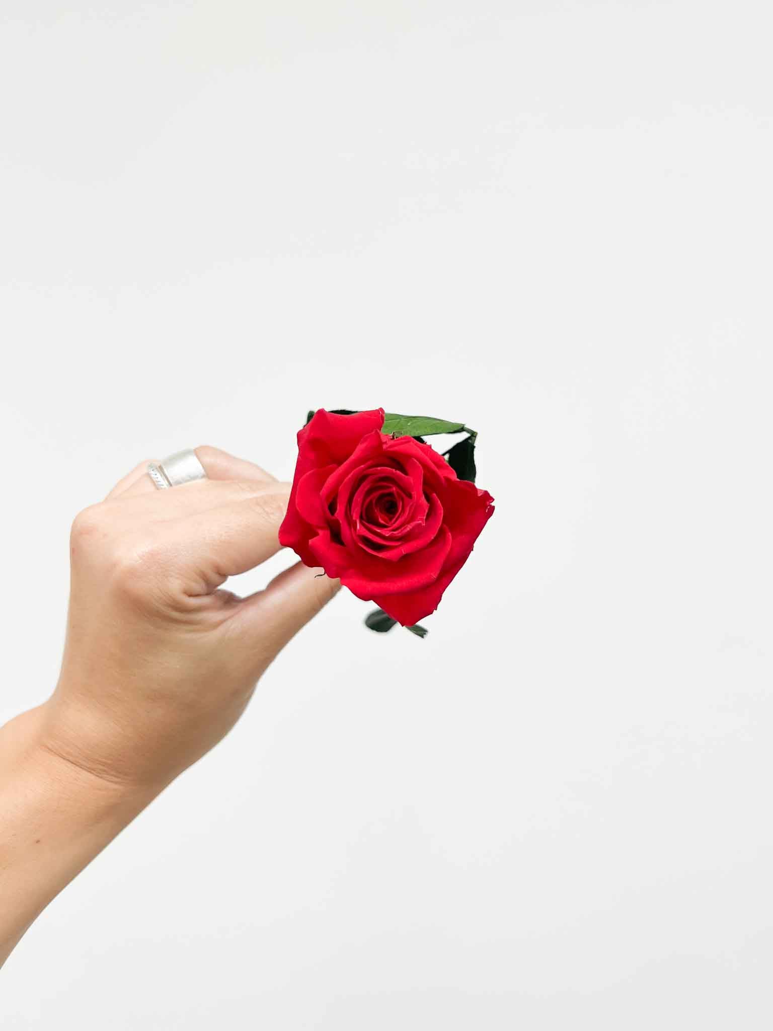 ROSITA » Stelo di Rosa rosso 25cm - Bloomoon