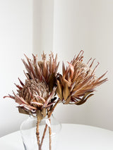 SALLY » mazzo da 3 protee King rosa naturali - Bloomoon