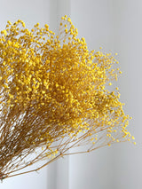 SAMUELA » Mazzo di Gypsophila o nebbiolina stabilizzata gialla - Bloomoon