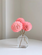 SEFORA » stelo del Frutto del fiore del Tragopogon o "soffione" rosa - Bloomoon