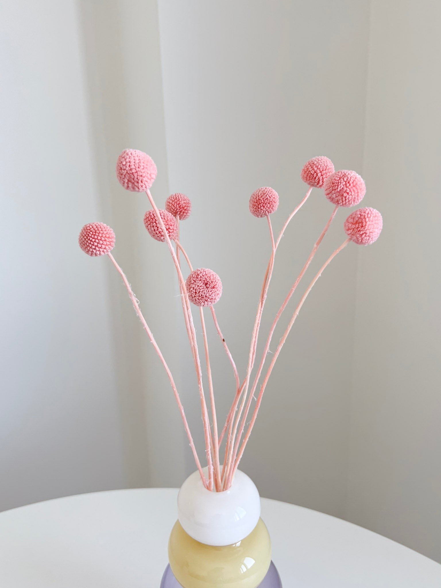 SELMA » Mazzo di Craspedia rosa 10 steli - Bloomoon