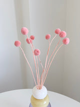 SELMA » Mazzo di Craspedia rosa 10 steli - Bloomoon