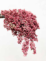 SERAFINO » Mazzo di Pepe rosa essiccato grande - Bloomoon