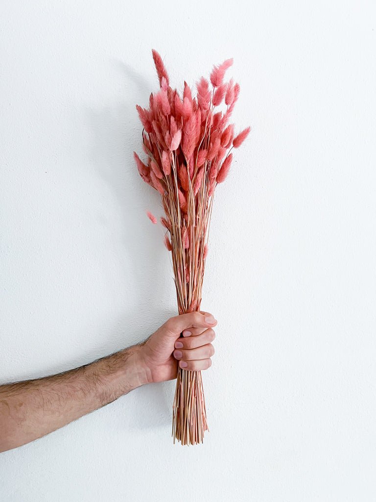 SERENELLA » Mazzo di Lagurus colorato rosa antico - Bloomoon