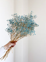 SKY » Mazzo di Gypsophila stabilizzata celeste - Bloomoon