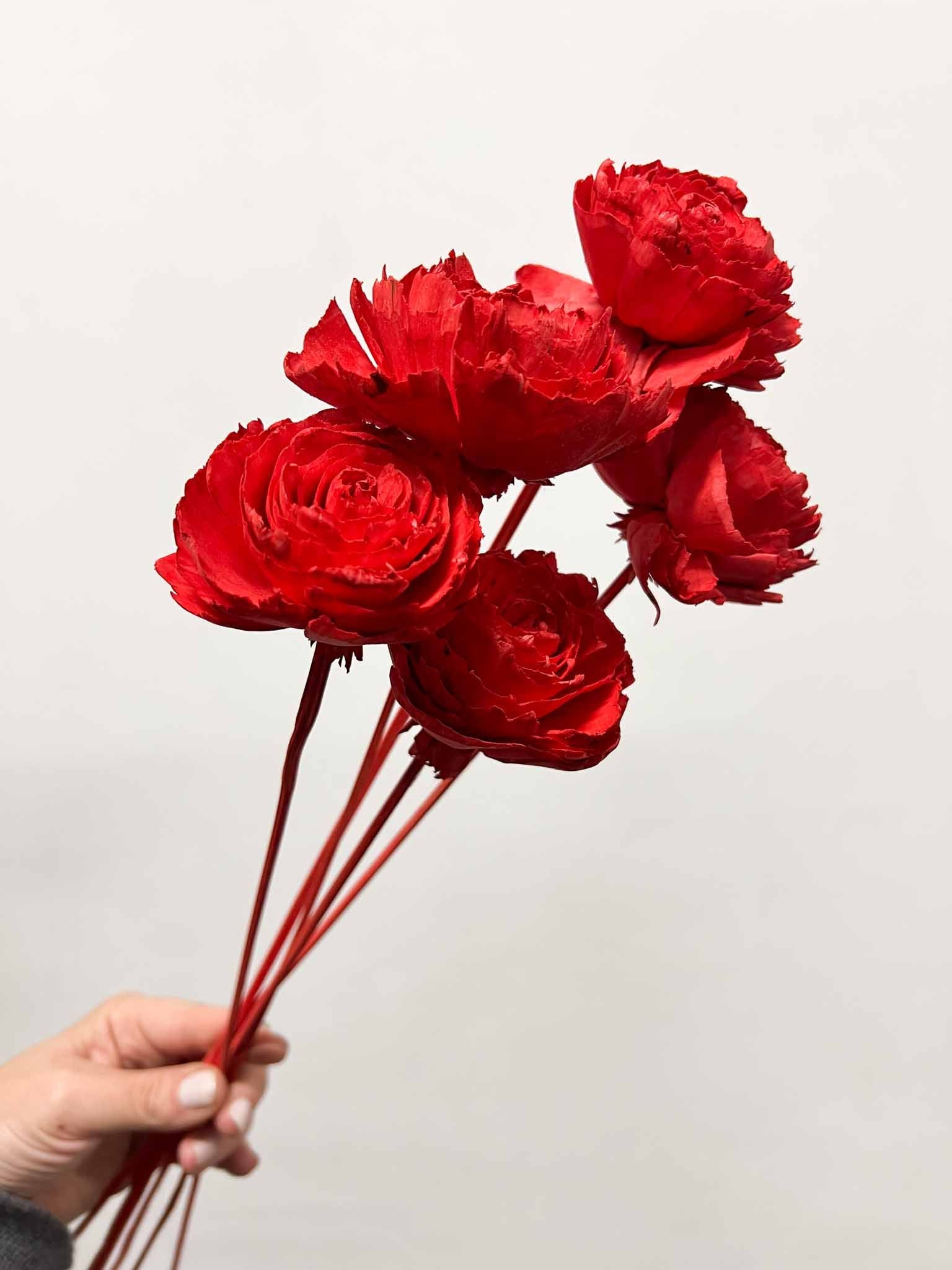 SOFIA » Mazzo di rose rosse ricostruite in fibra di manioca - Bloomoon