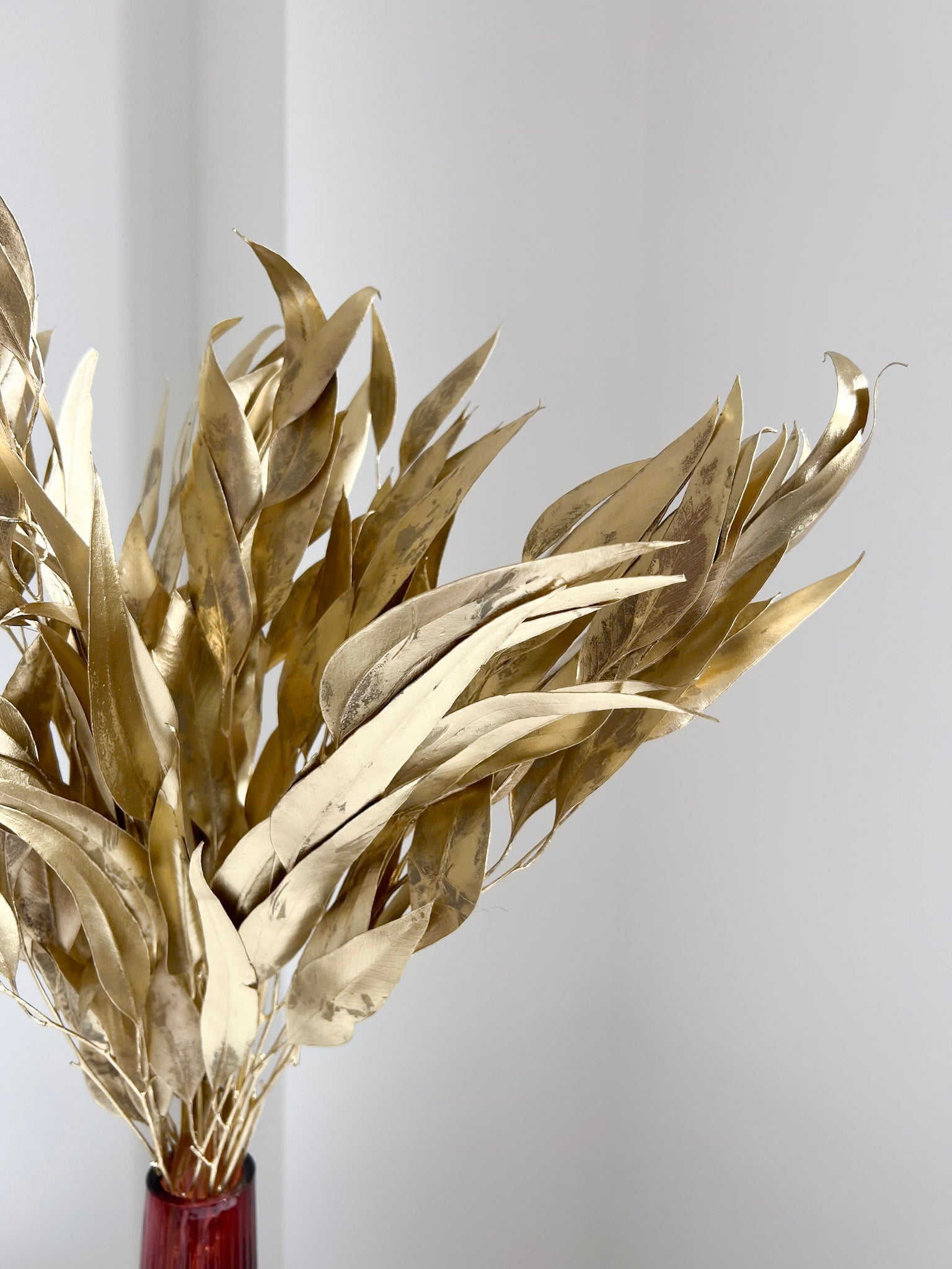 SOLMIRA » Eucalipto Willow essiccato oro - Bloomoon