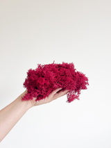 SOREN » Muschio nordico stabilizzato magenta 500gr - Bloomoon