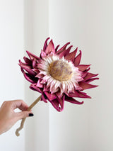 SWAMI » fiore di carciofo grande aperto rosa - Bloomoon