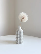 TAMARA » Frutto del fiore del Tragopogon o "soffione" sbiancato - Bloomoon