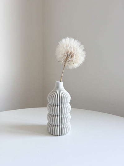 TAMARA » Frutto del fiore del Tragopogon o "soffione" sbiancato - Bloomoon
