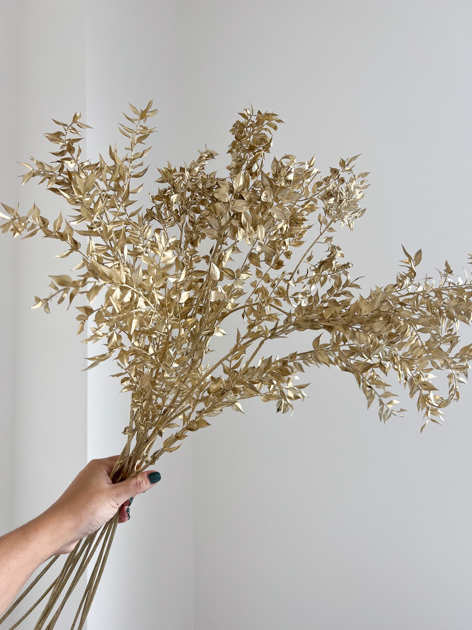 TEODORO » Ruscus essiccato oro 10 steli - Bloomoon