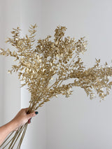 TEODORO » Ruscus essiccato oro 10 steli - Bloomoon