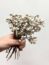 TIBERIO » Fascio di bacche naturali bianche piccolo - Bloomoon