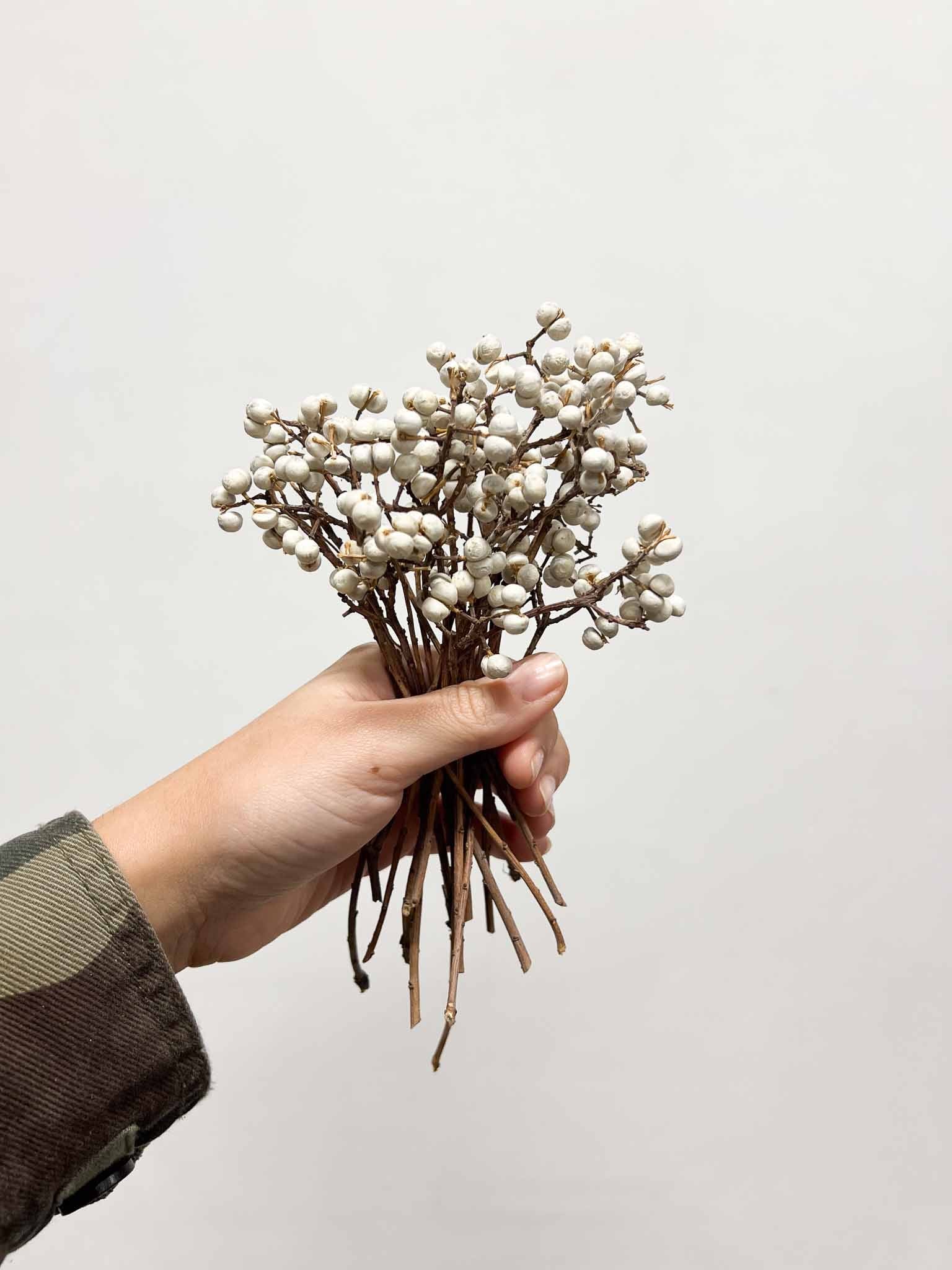 TIBERIO » Fascio di bacche naturali bianche piccolo - Bloomoon