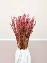UBERTA » Mazzo di Avena rosa antico - Bloomoon
