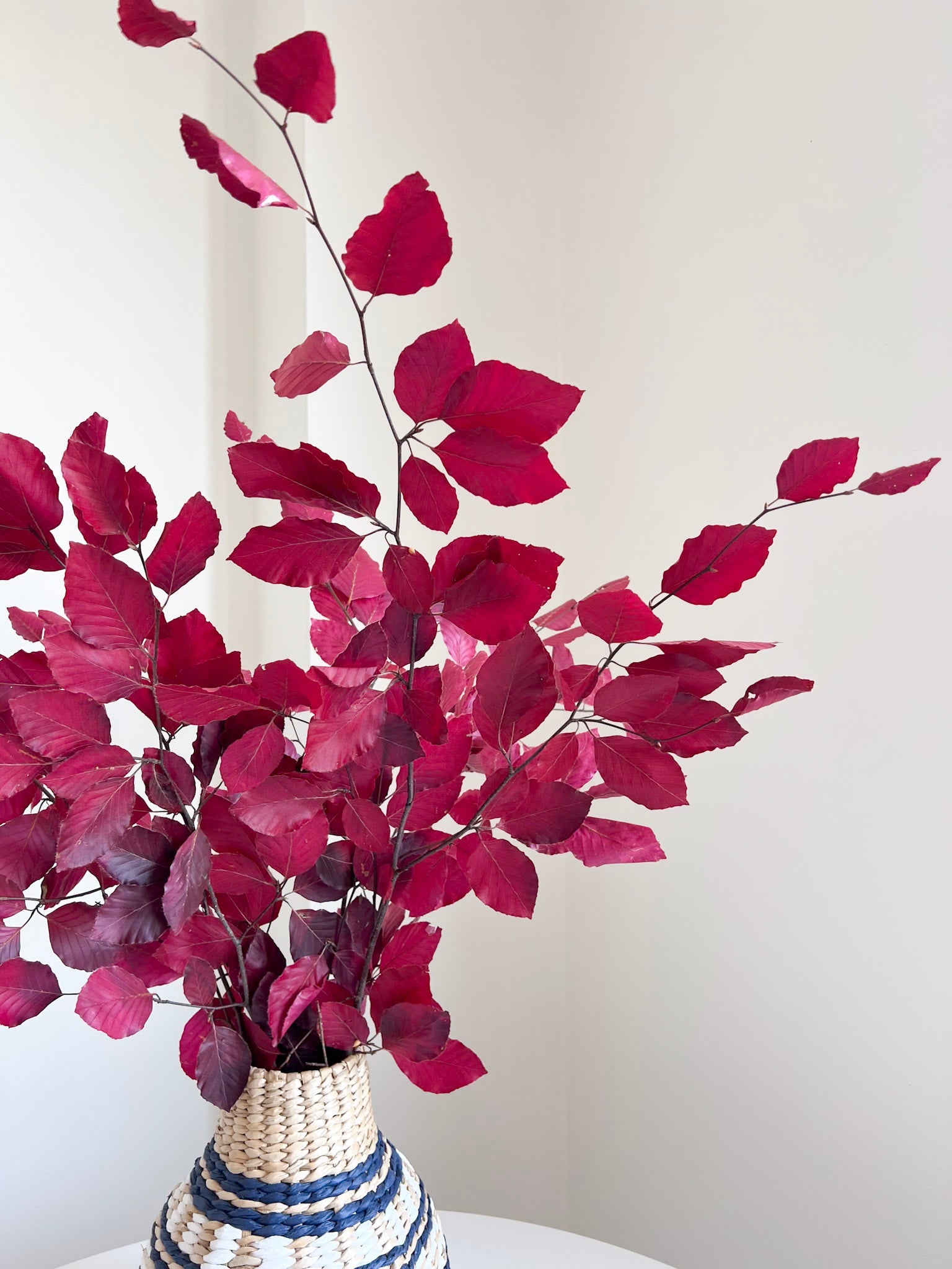 VALERY » Mazzo di Faggio stabilizzato fucsia - Bloomoon