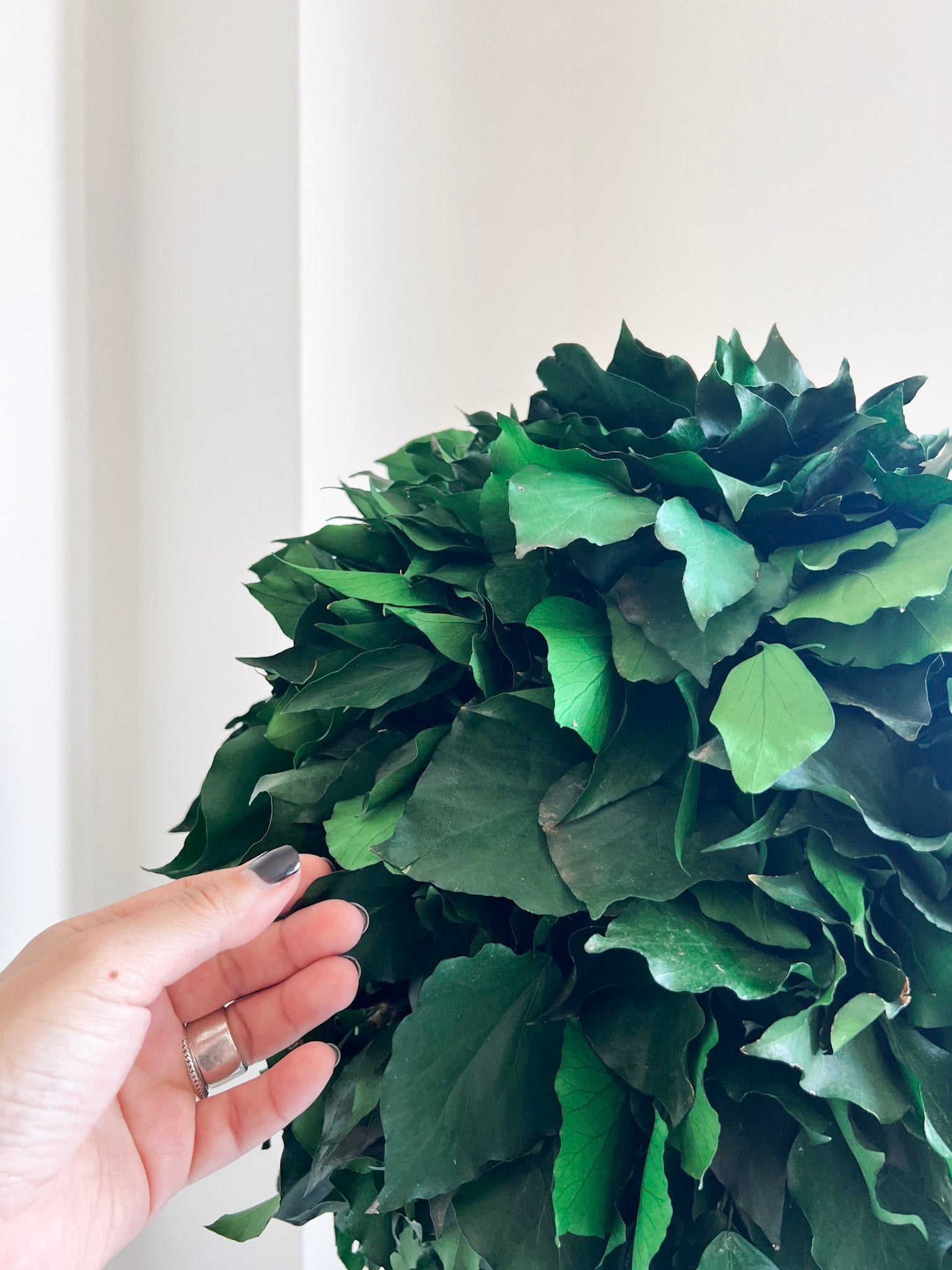 VENERE » pianta stabilizzata di edera a sfera verde 65cm - Bloomoon