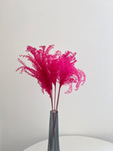 VIOLANTE » mazzo di miscanthus fucsia - Bloomoon