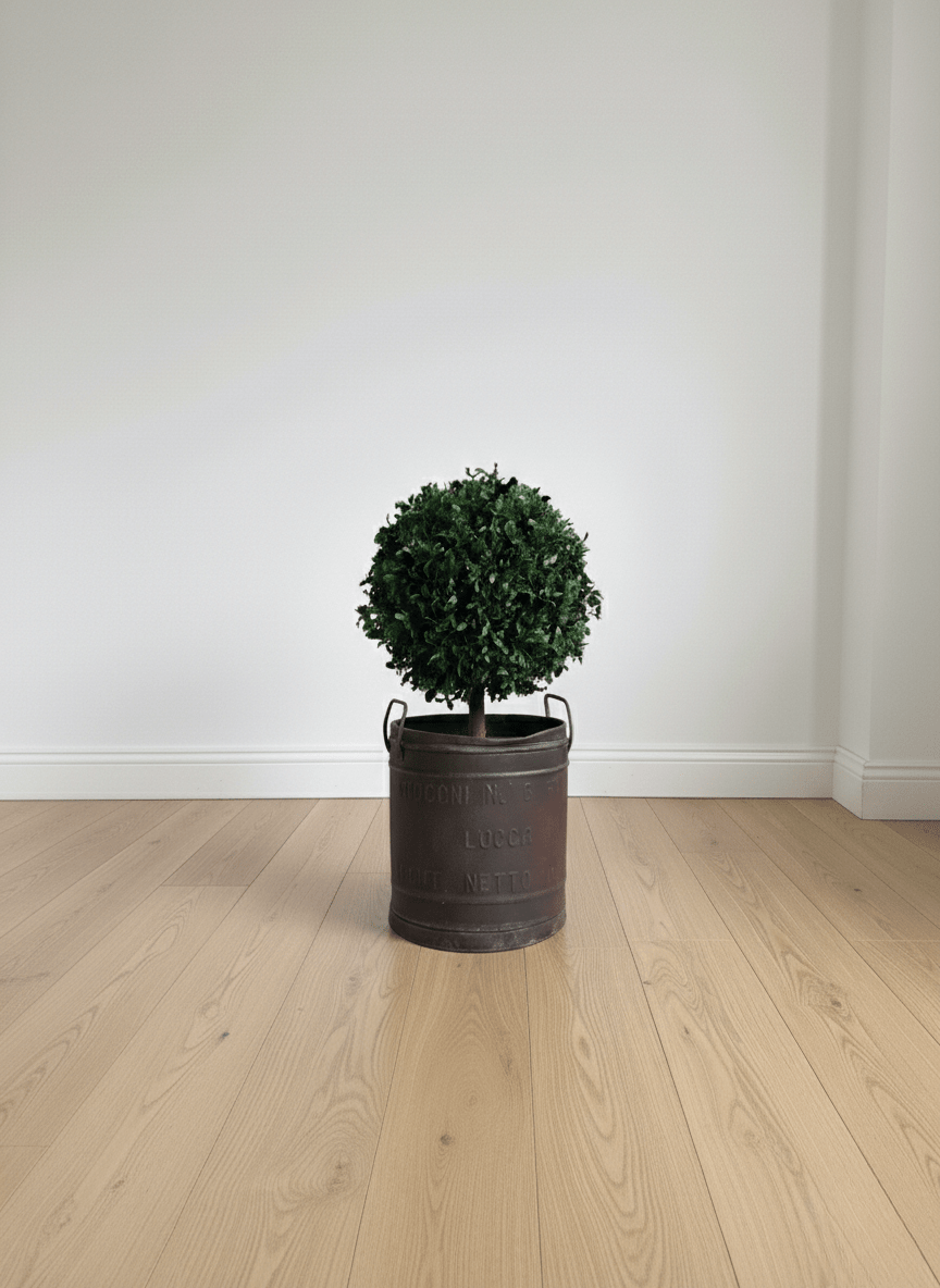 WORLD » pianta stabilizzata di pitosforo a sfera verde 65cm - Bloomoon