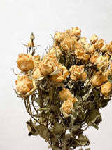 YOKO » Mazzo di Rose spray naturale salmone essiccate - Bloomoon