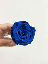 ZACCARIA » Box da 6 fiori di Rosa blu diametro 6,5cm standard - Bloomoon