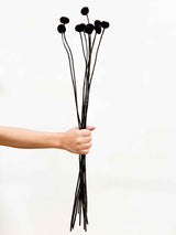 ZORRO » Mazzo di Craspedia nero 10 steli - Bloomoon