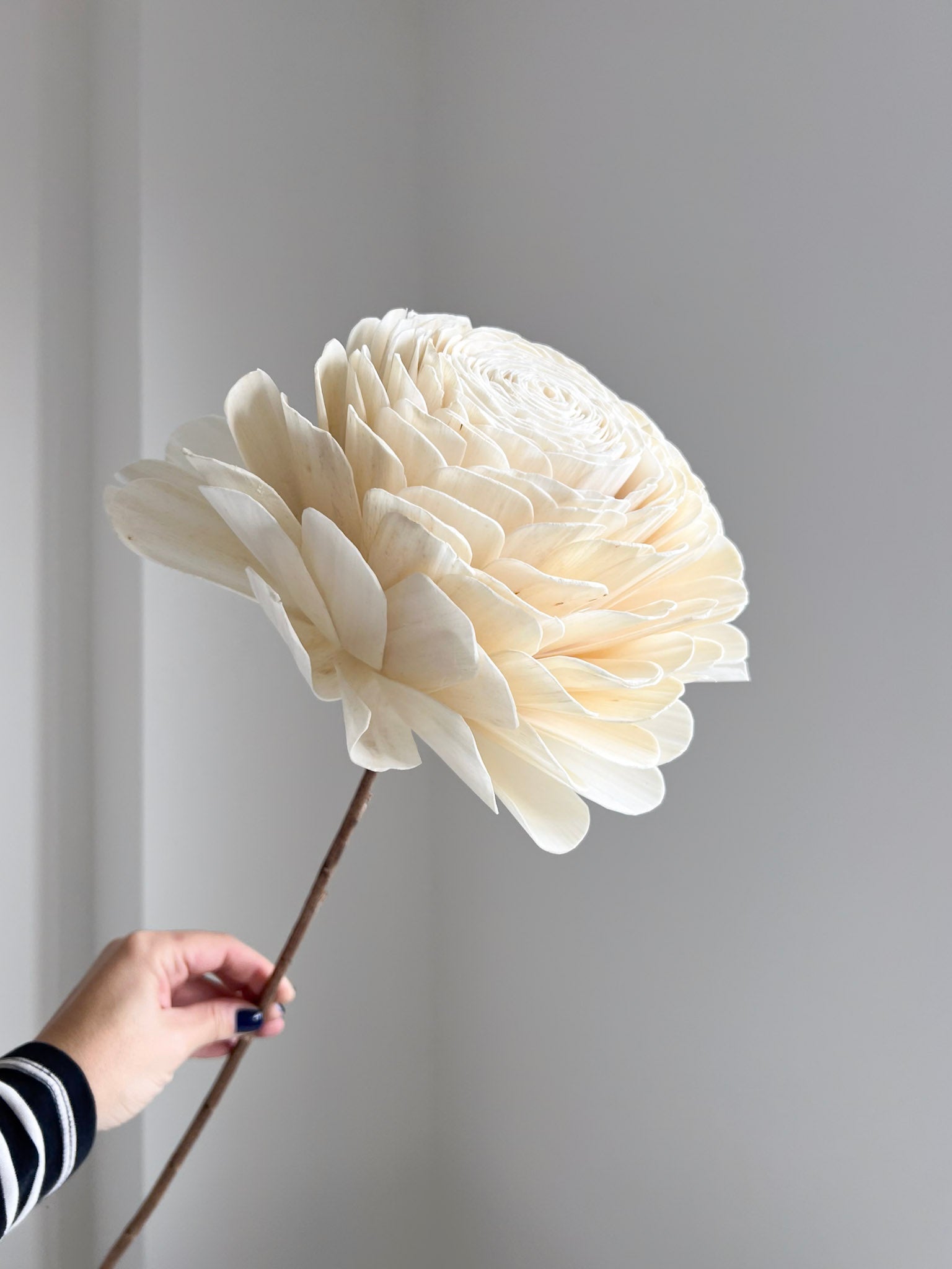 ZUCCHERO » Rosa ricostruita in fibra di manioca extra large avorio con stelo - Bloomoon