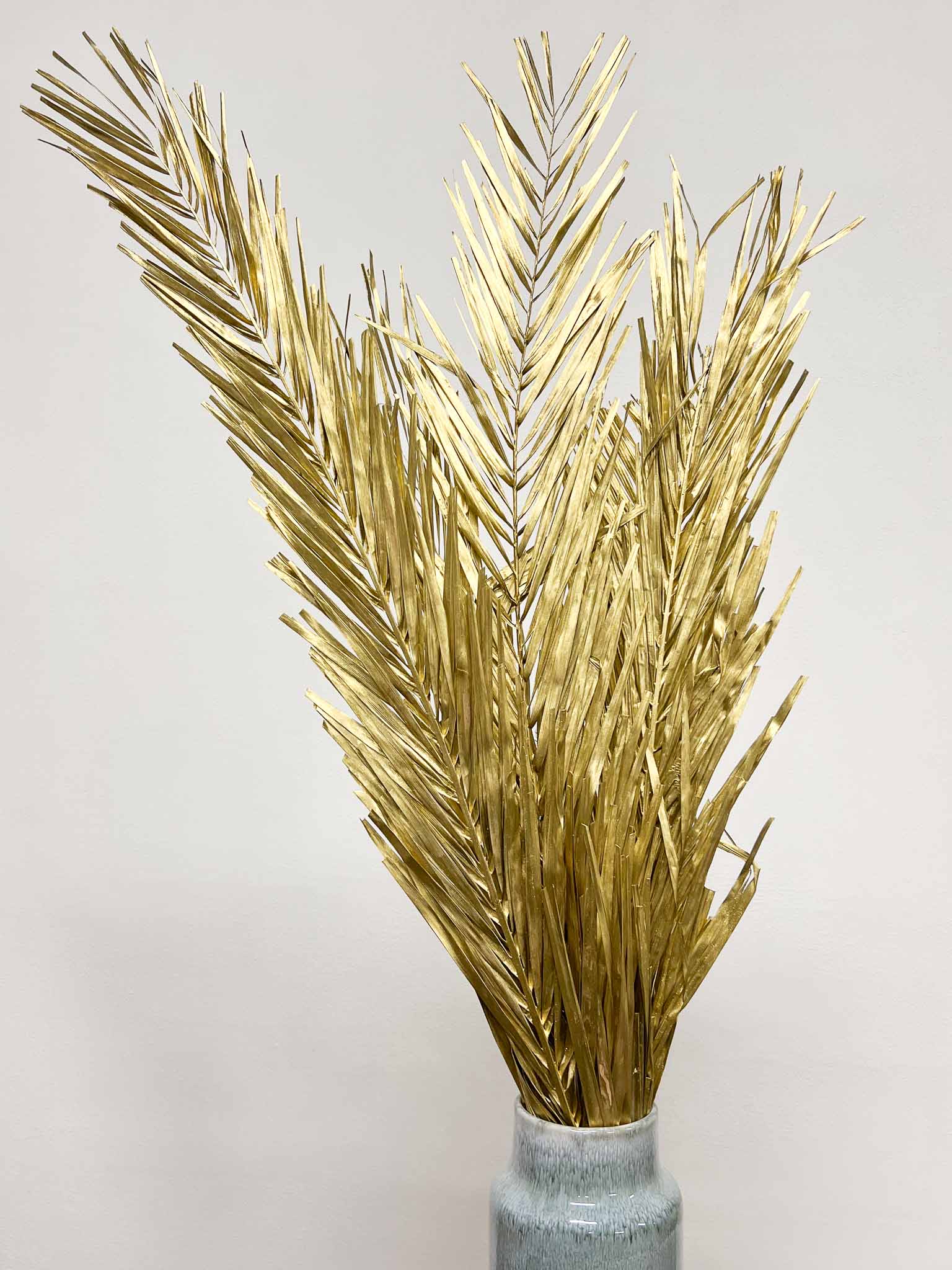 ZURI » Foglie di palma oro essiccate - Bloomoon