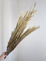 ZURI » Foglie di palma oro metallizzato essiccate 100cm - Bloomoon