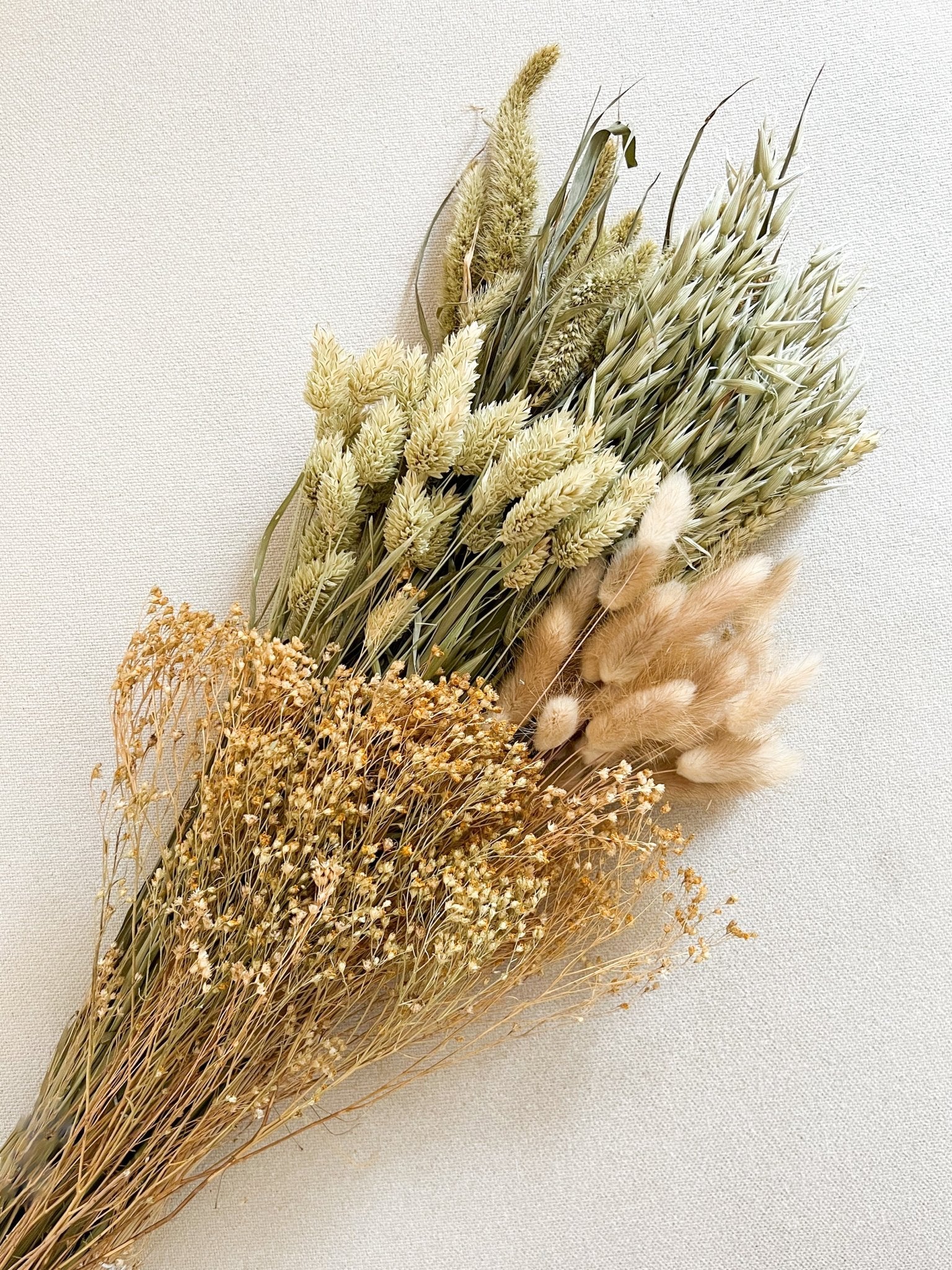 AIDA » Mazzo per bouquet di fiori secchi misti naturali - Bloomoon