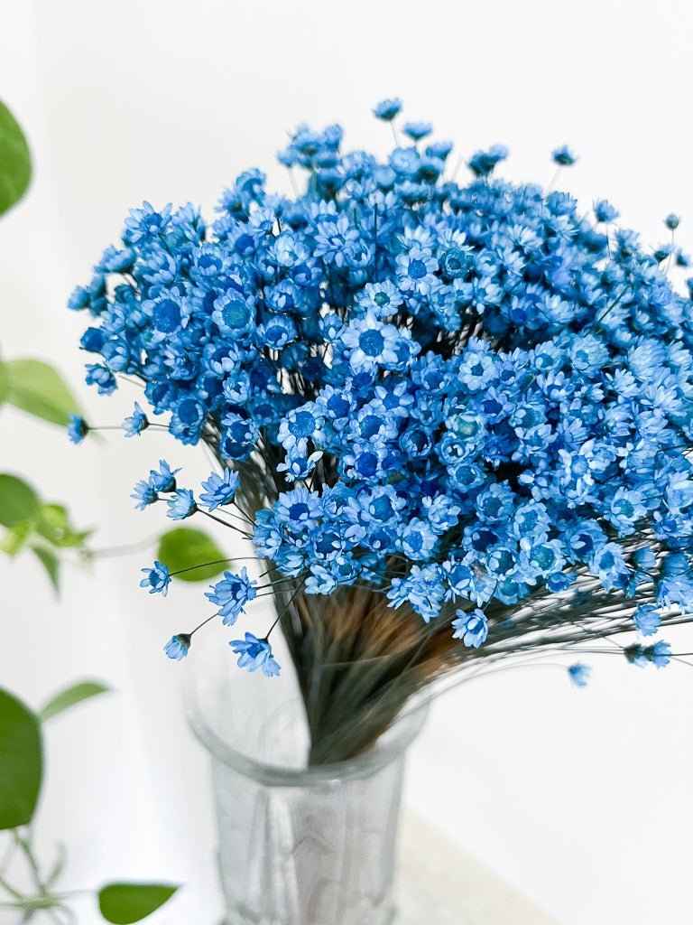 ANGELICA » Mazzo di fiori di Glixia celeste - Bloomoon