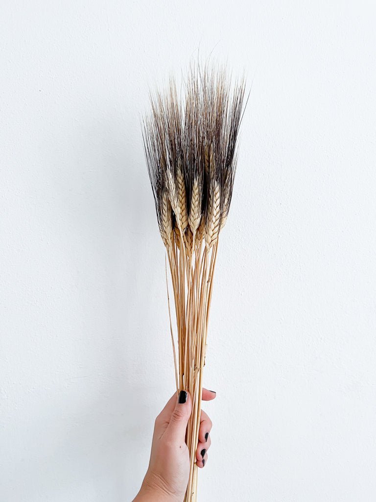 ANNA » Mazzo di Spighe con baffo nero - Bloomoon
