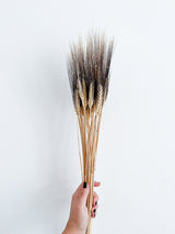 ANNA » Mazzo di Spighe con baffo nero - Bloomoon