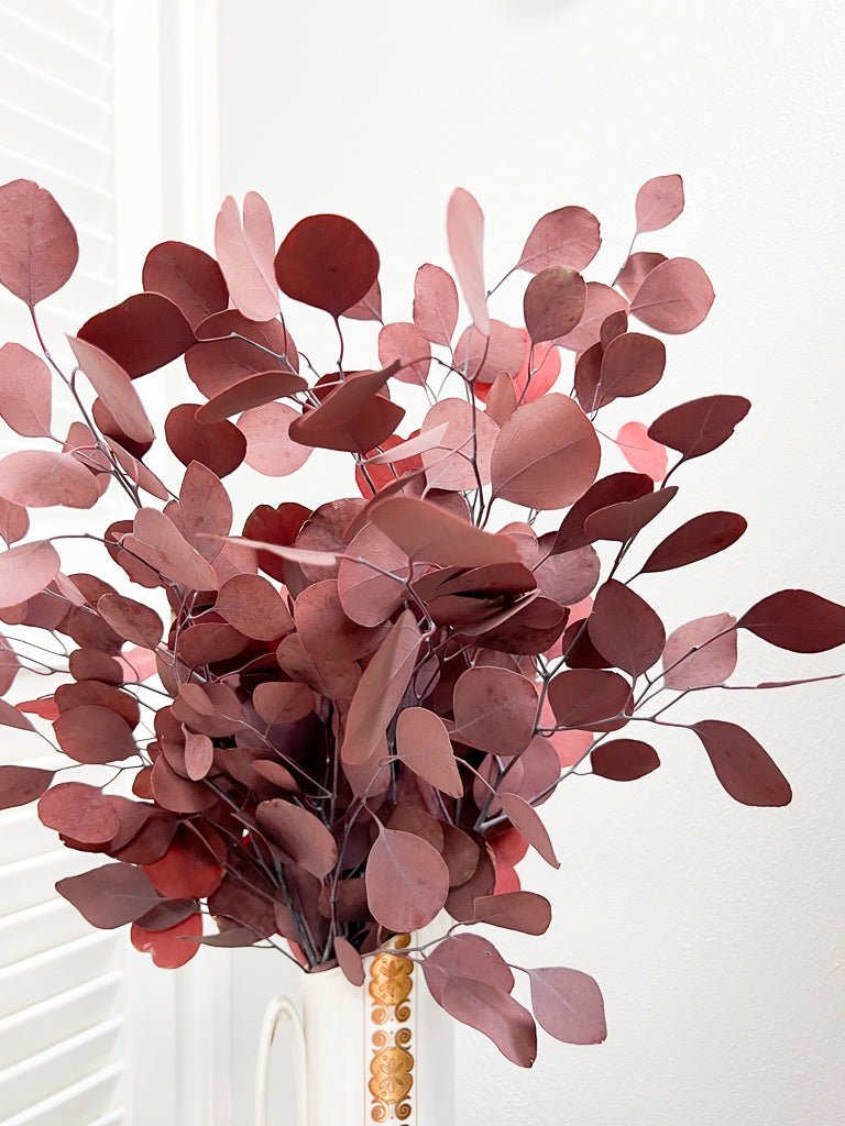 BARBARA » Mazzo di Eucalipto Populus stabilizzato rosso - Bloomoon