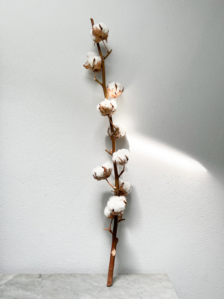 CAMILLO » Stelo fiore del Cotone ramo da 10 fiori - Bloomoon
