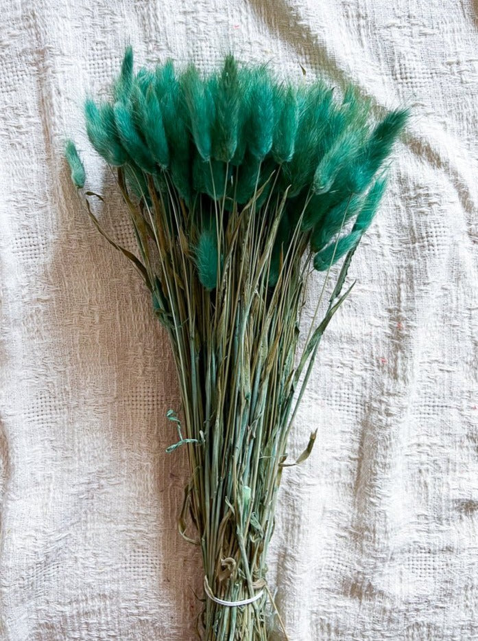 CLAUDIA » Mazzo di Lagurus Colorato Verde petrolio - Bloomoon