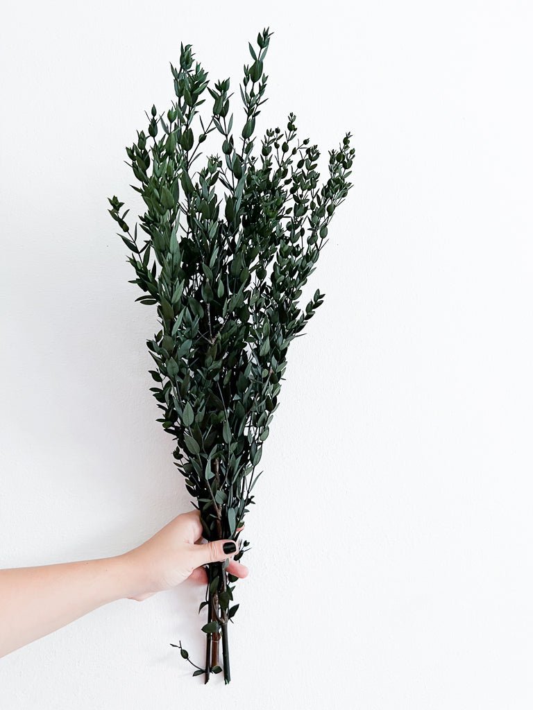 CRISTINA » Mazzo di Eucalipto Parvifolia stabilizzato verde - Bloomoon