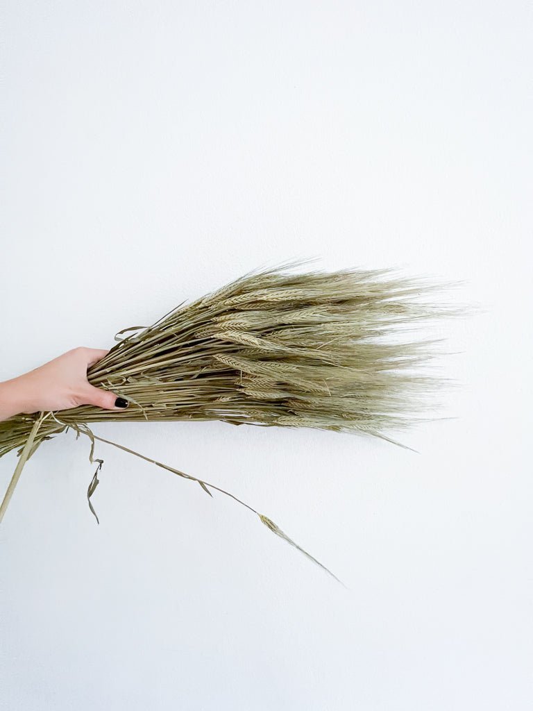 EZIO » Mazzo di Spighe naturale - Bloomoon